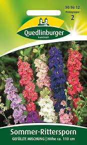 Image result for Rittersporn