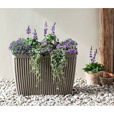 Image result for Leberbalsam