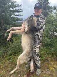 Image result for Weston Rhyn Wolves