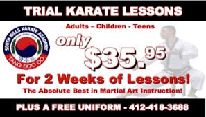 Image result for Southill Karate Club