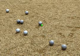 Image result for Brickendon Petanque Boules Club