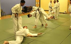 Image result for Elmbridge Boccia Club