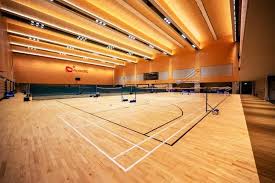 Image result for Halwill Badminton Club