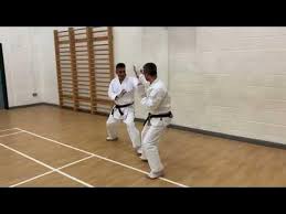 Image result for Kenshukai Karate