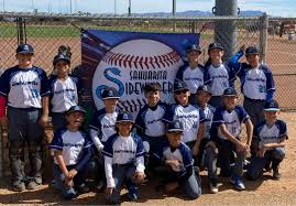 Image result for Sidewinders Baseball Club