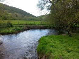 Image result for Dulverton Angling Association
