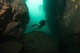 Image result for Chelsea & Fulham Sub-Aqua Club