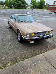 Image result for Regent Gray 1984 Jaguar