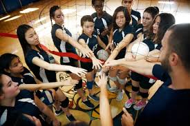 Image result for Aberlady Bays Volleyball Club