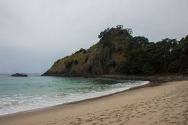 Image result for new chums beach