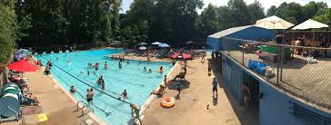Image result for Rykneld Sharley Park Swimming Club