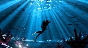 Image result for Deep Blue Diving