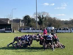 Image result for Dunstablians Rugby Union Football Club