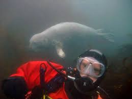 Image result for Calshot Sub-Aqua Club