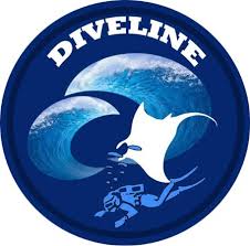 Image result for Diveline