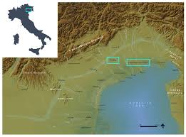 Attēlu rezultāti vaicājumam “Conardia compacta macro”