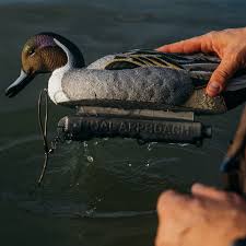 Image result for Suffolk Coastal Floaters