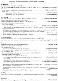Attēlu rezultāti vaicājumam “Sphacelotheca hydropiperis”