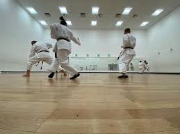 Image result for Backwell Karate