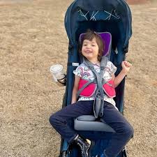 Image result for BRIO Go Stroller System Gwen Stefani