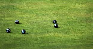 Image result for Bushfield Bowls Club