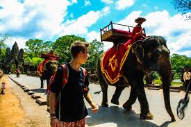 Image result for Beechwood Riding School