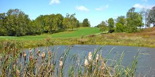 Image result for Crown Hills Circuit Training Club