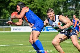 Image result for Wandsworth Demons
