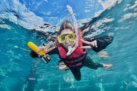 Image result for Dorking Snorkelling Club
