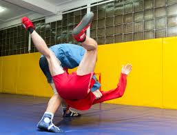 Image result for Combat Sambo