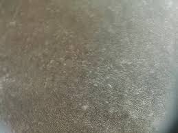 Attēlu rezultāti vaicājumam “Phellinus alni”