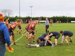 Image result for Ipswich Rfc