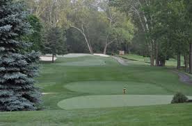 Image result for York University Golf Club