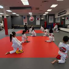 Image result for Cumming Martial Arts Center
