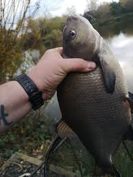 Image result for Wakefield Angling Club