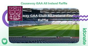 Image result for Causeway Hurling Club