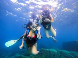 Image result for Scuba Fun