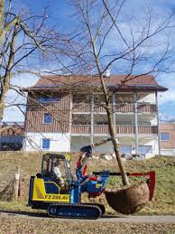 Image result for roboflail tehron