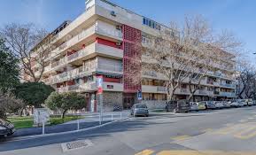 Image result for Lichia amia