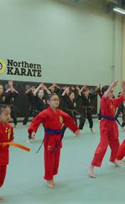 Image result for Northern Freestyle Karate Association