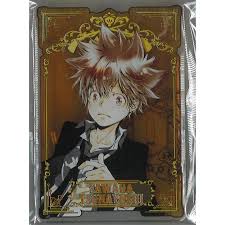 「沢田奈々 家庭教師ヒットマンREBORN!」の画像検索結果