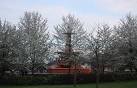 Fountain, Victoria Park - via Daymix