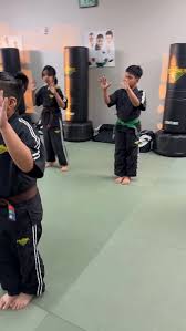 Image result for Weston Academy Of Martial Arts
