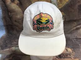 Image result for Flamingo Cricket Club
