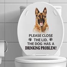 Image result for german toilet