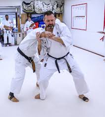 Image result for Sandokai Karate