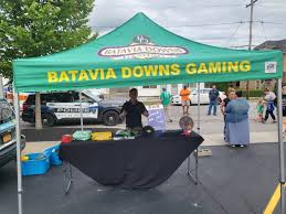 Image result for The Downsman Community Amateur Sports Club