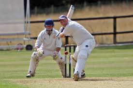 Image result for Pontblyddyn Cricket Club