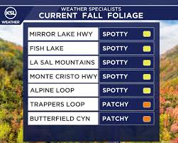 Image result for $$fall_akte__ort$$