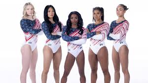Image result for Custom Gymnastics Club